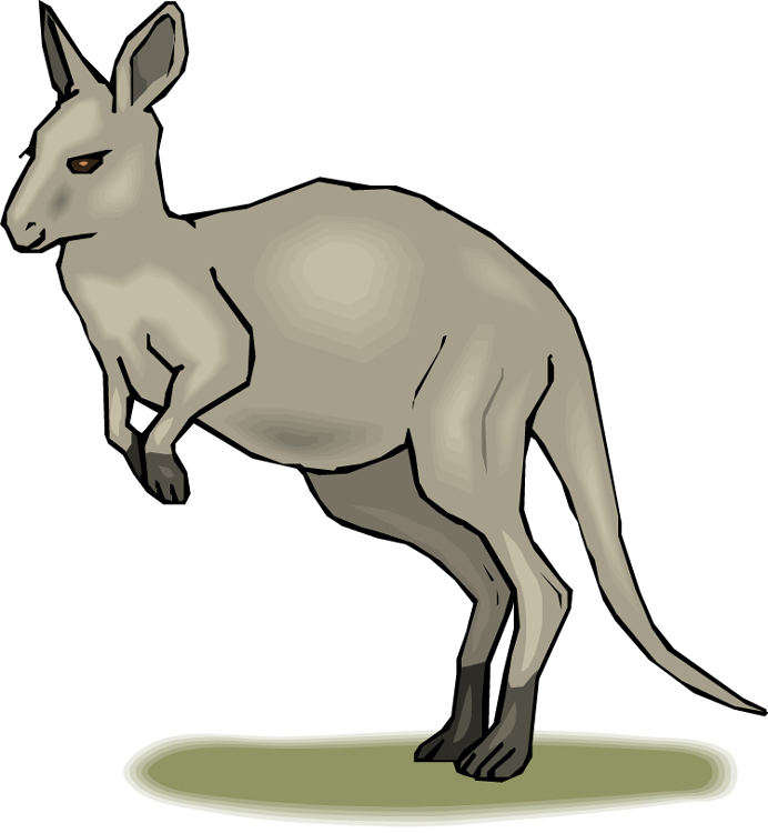 Kangaroo Cartoon Illustration