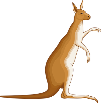 Kangaroo Vector Illustration