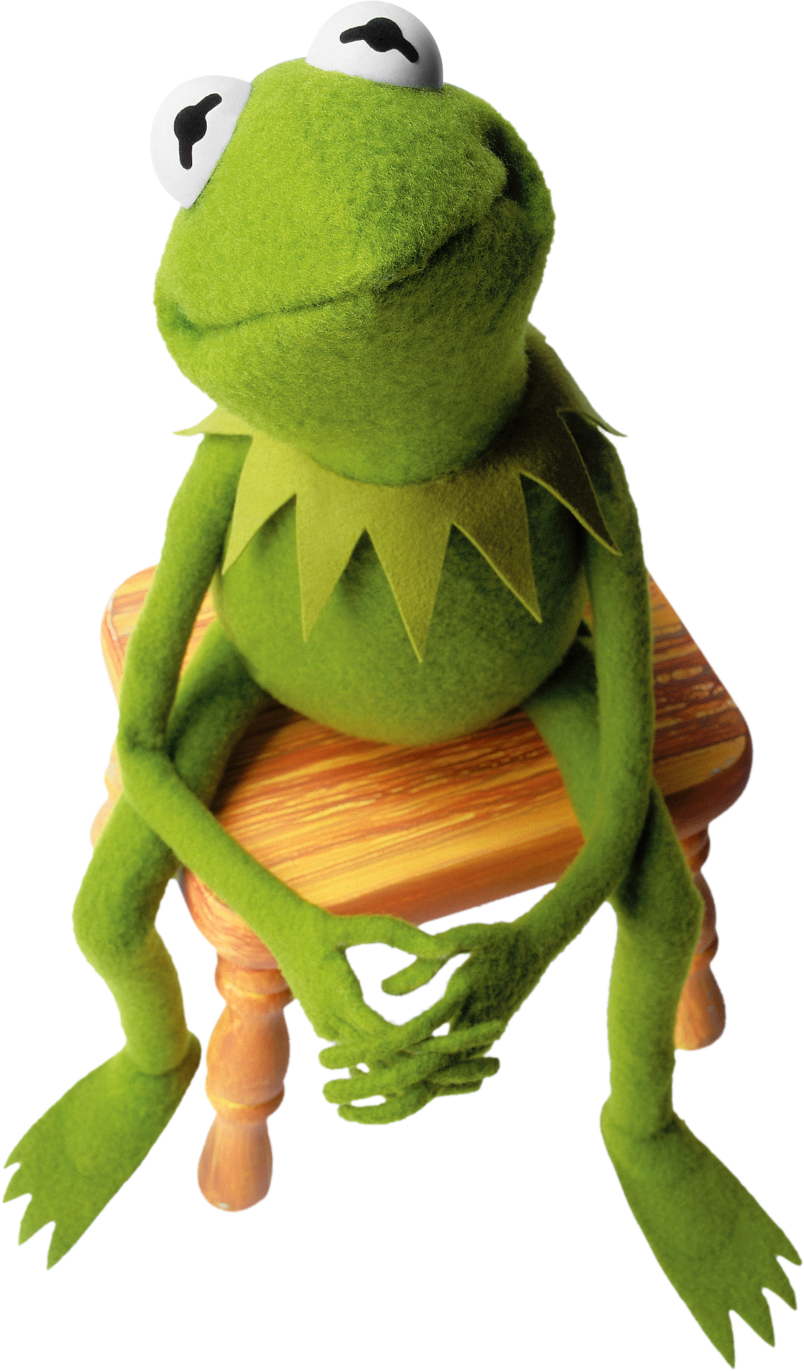 Kermitthe Frog Seated Pose