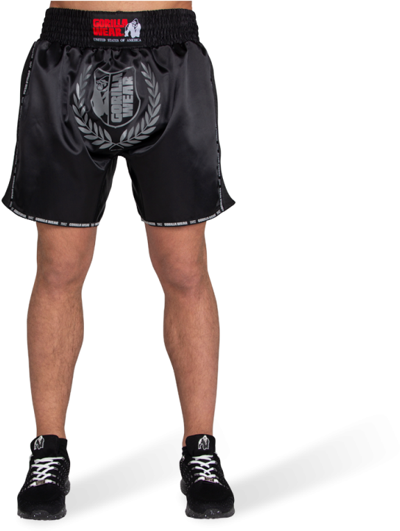 Kickboxing Training Shortsand Gear