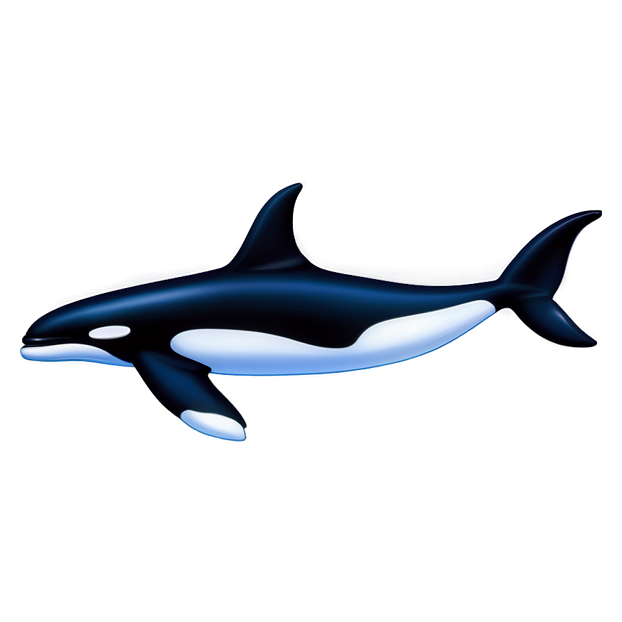 Killer Whale Png Fnn