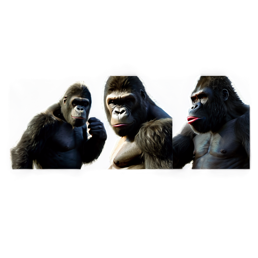 King Kong Modern Interpretation Png 77