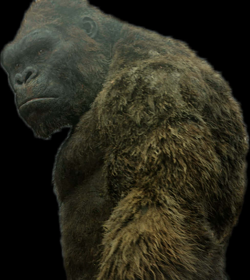 King Kong Profile Portrait