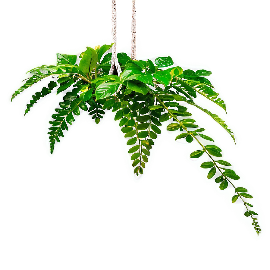 Kitchen Hanging Plant Png Bjm