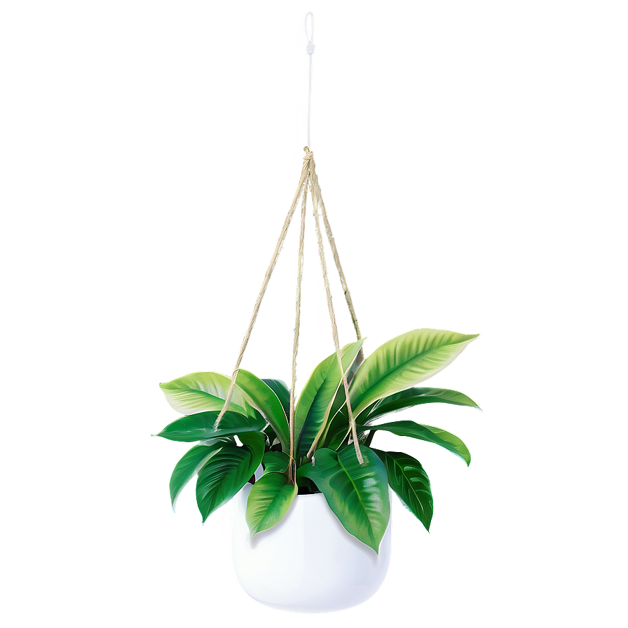 Kitchen Hanging Plant Png Ldo