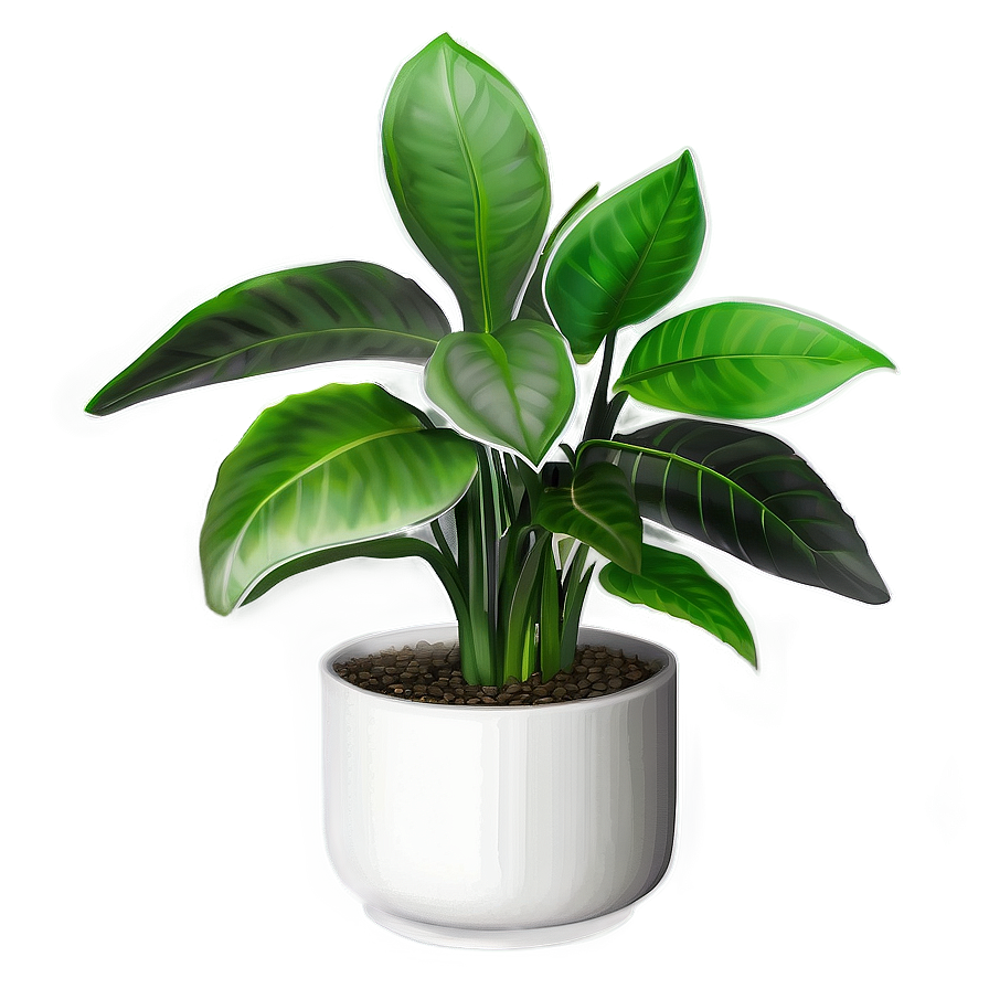 Kitchen Houseplant Png 9