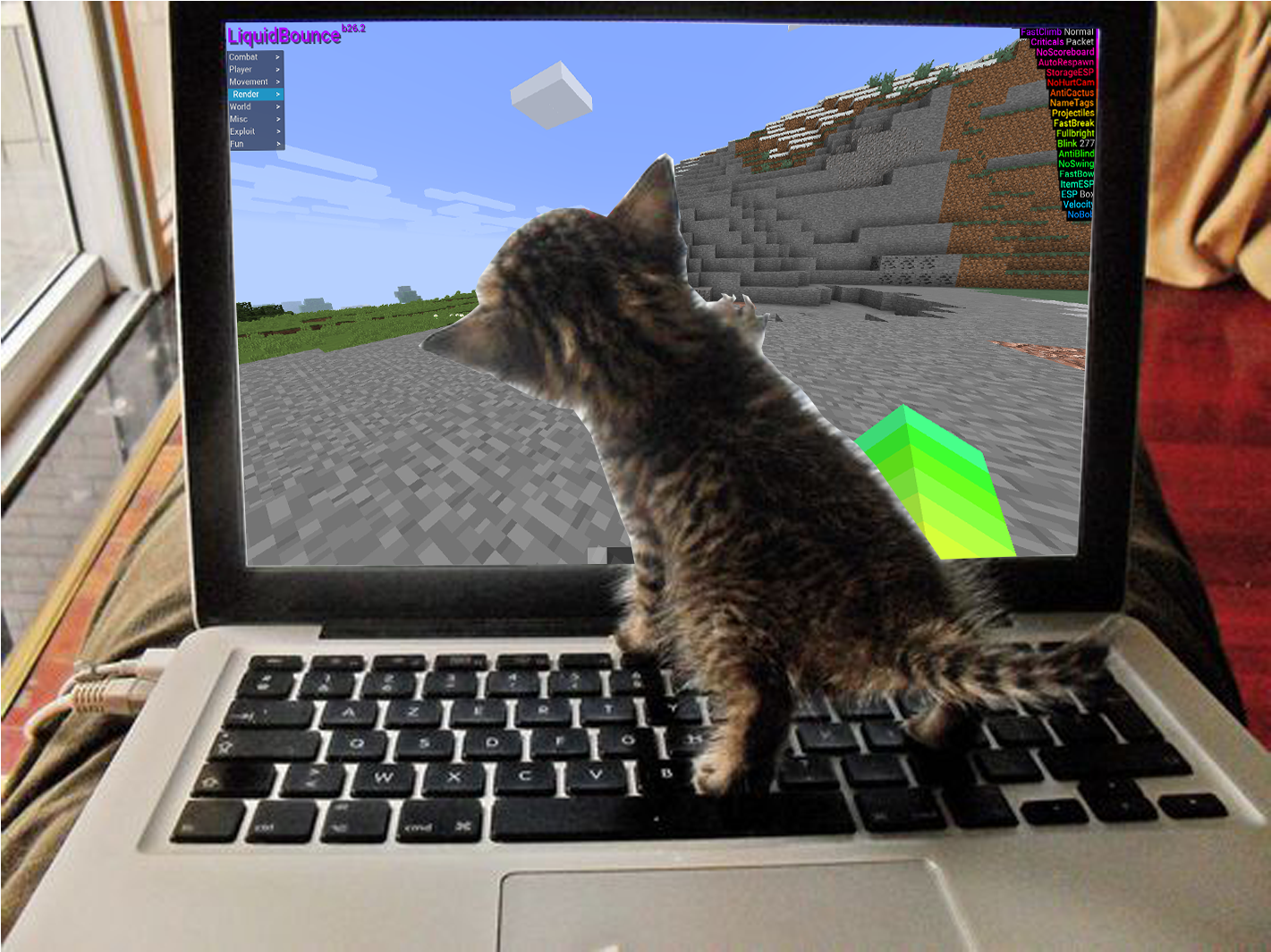 Kitten Playing Minecraft Laptop