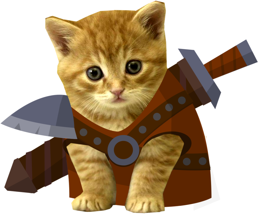 Kitten Warrior_ Costume Fantasy.png