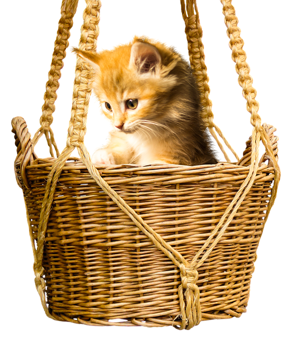 Kittenin Wicker Basket