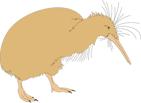 Kiwi Bird Silhouette