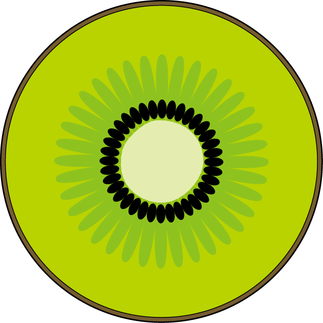 Kiwi Fruit Cross Section Vector