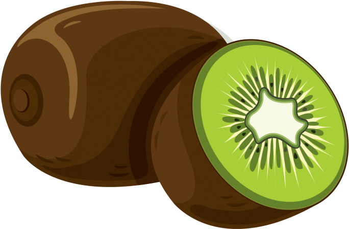 Kiwi Fruit Cut Vector Illustration