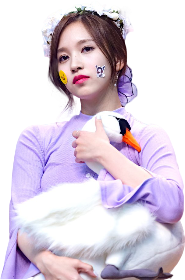 Kpop Star With Stuffed Swan