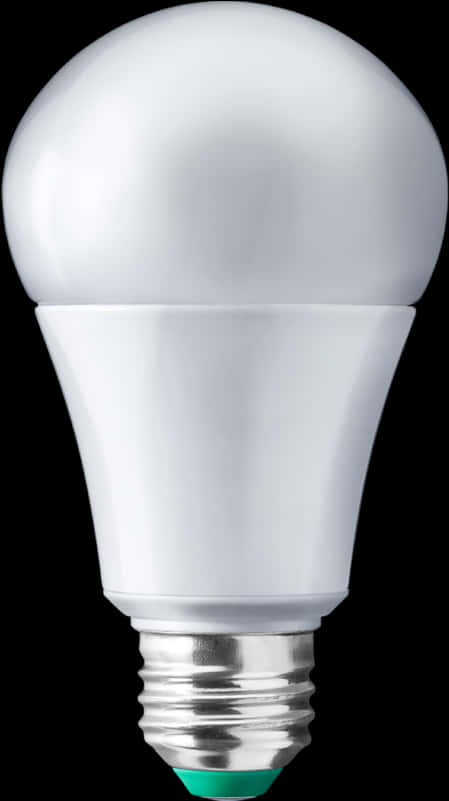 L E D Light Bulb Single Isolated