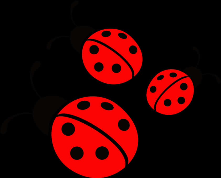 Ladybug