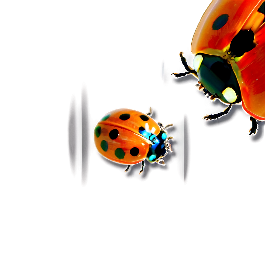 Ladybug Under Microscope Png 83