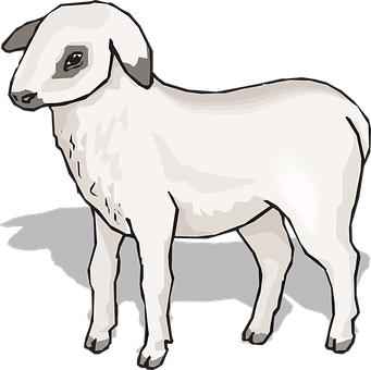 Lamb_ Illustration_with_ Shadow