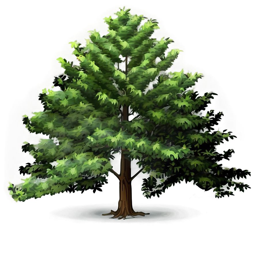 Landscape Tree Elevation Png 06262024