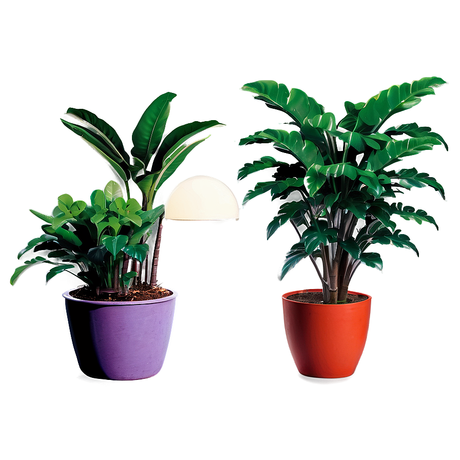 Large Houseplant Png 06202024