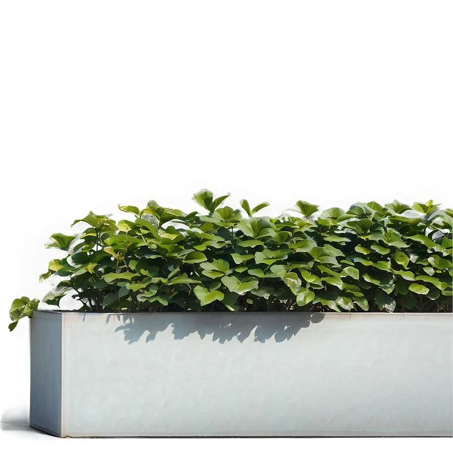 Large Outdoor Planter Box Png 59