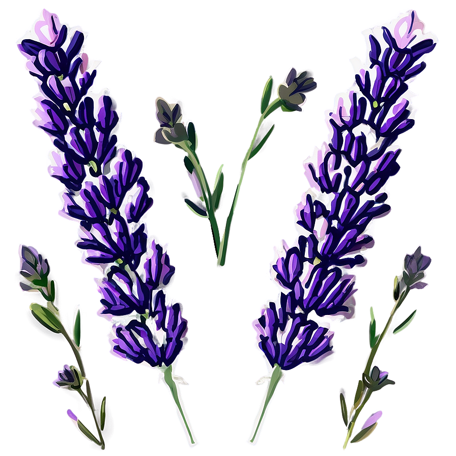 Lavender Bloom Png Hqo