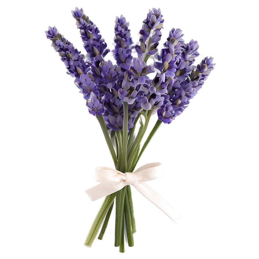 Lavender Bouquet Png 06122024