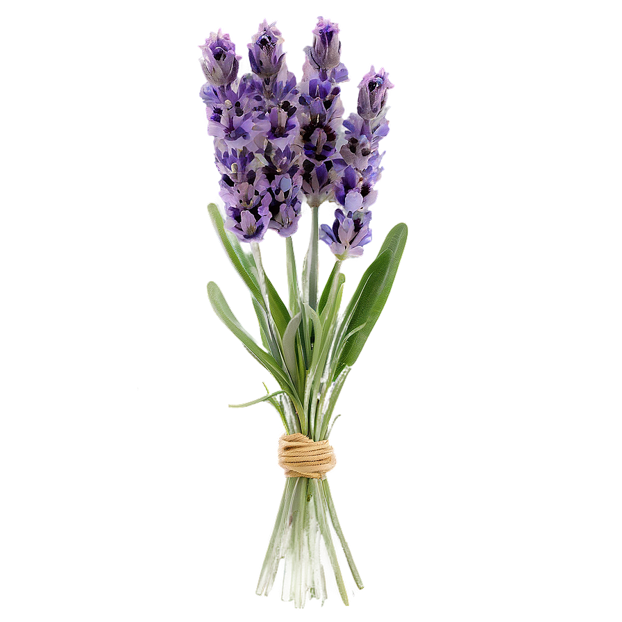 Lavender Floral Arrangement Png 3