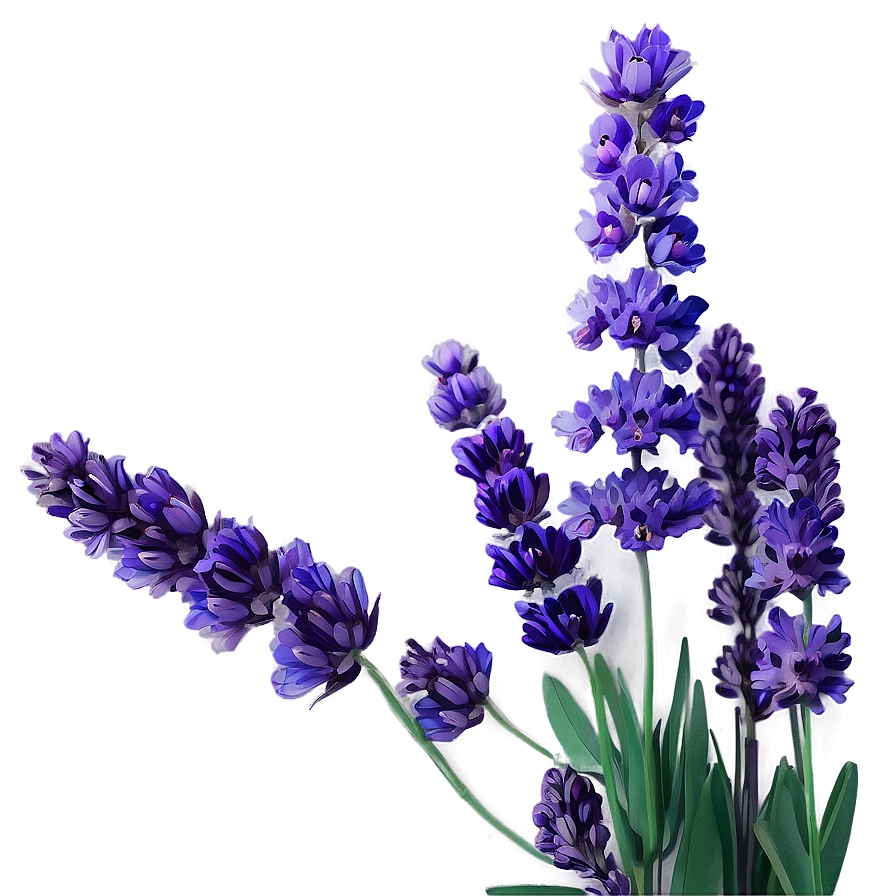 Lavender Floral Arrangement Png Vnh57