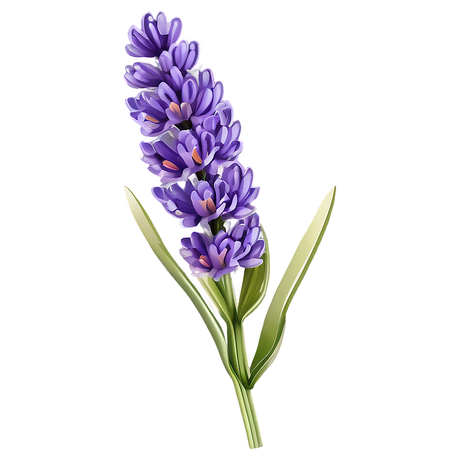 Lavender Flower Branch Png 06122024