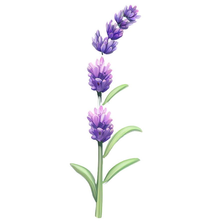 Lavender Flower Branch Png 79