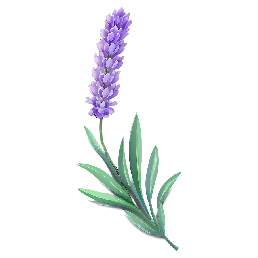 Lavender Flower Pattern Png 06132024