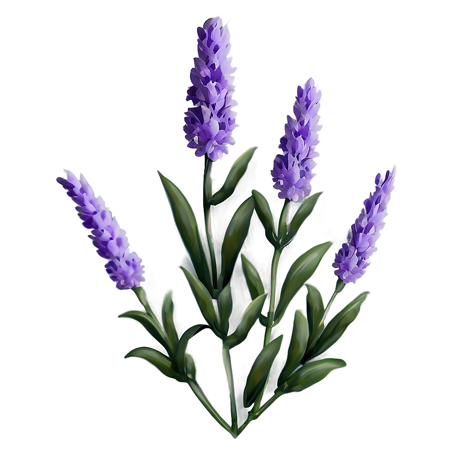 Lavender Flower Pattern Png 18