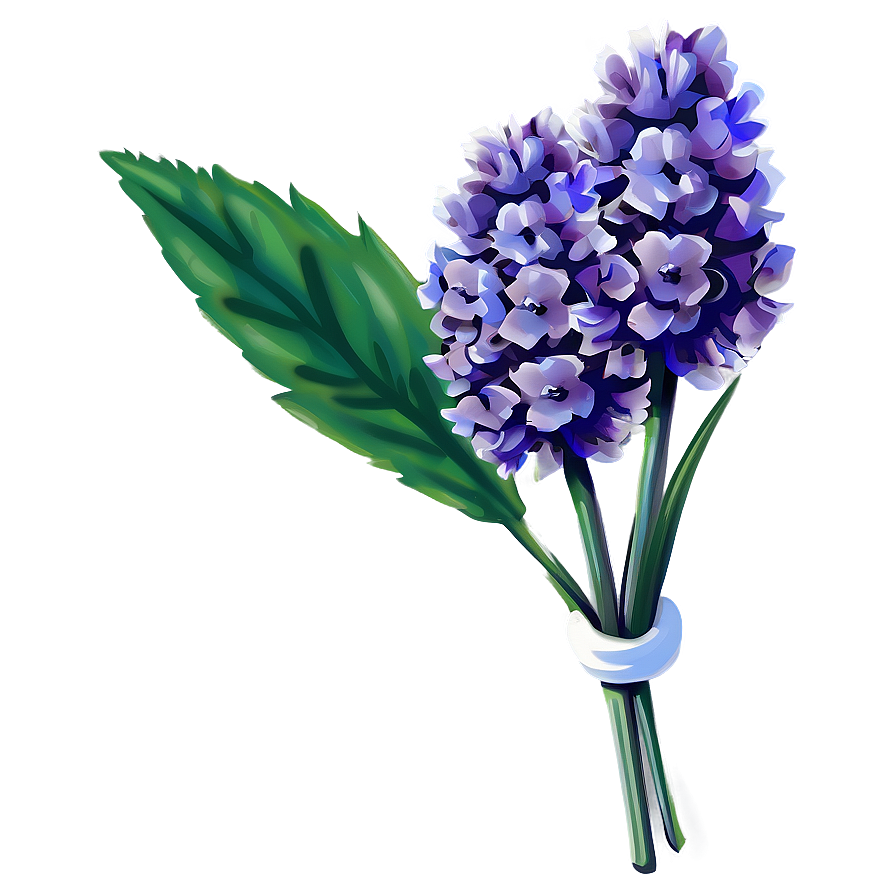 Lavender Flower Png Bjs25