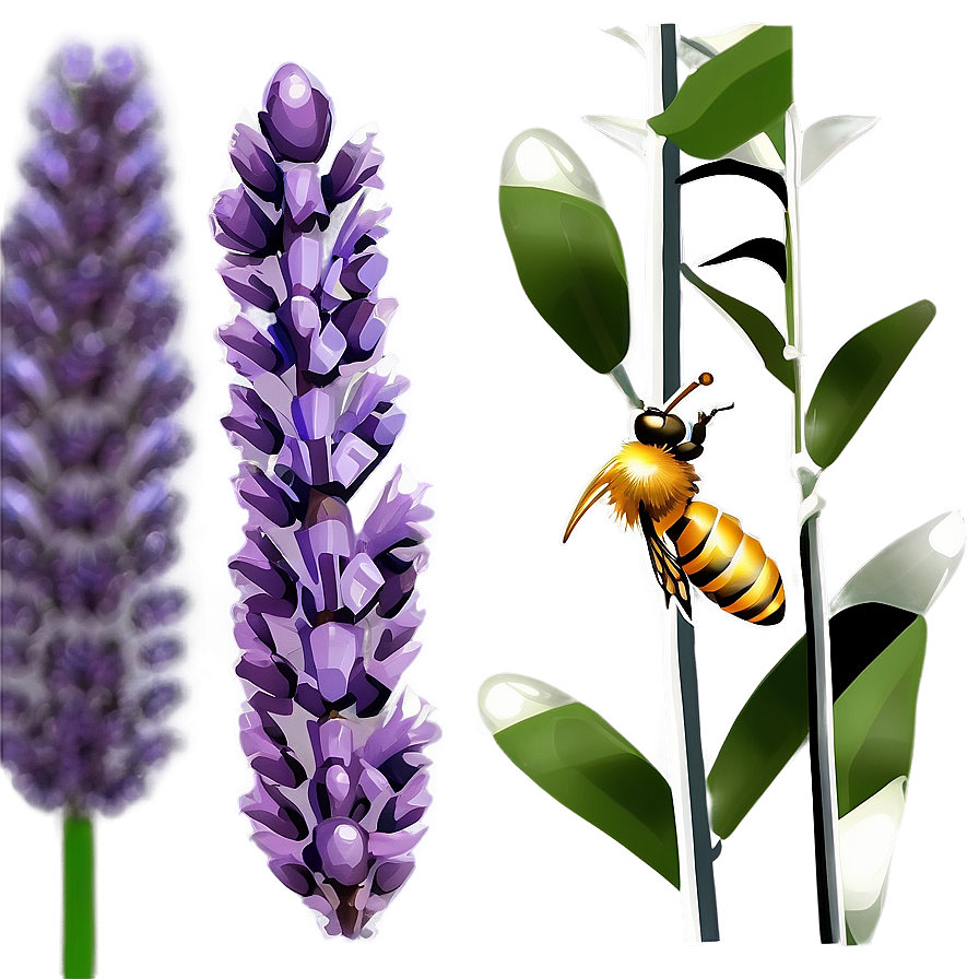 Lavender Honey Bee Garden Png 14