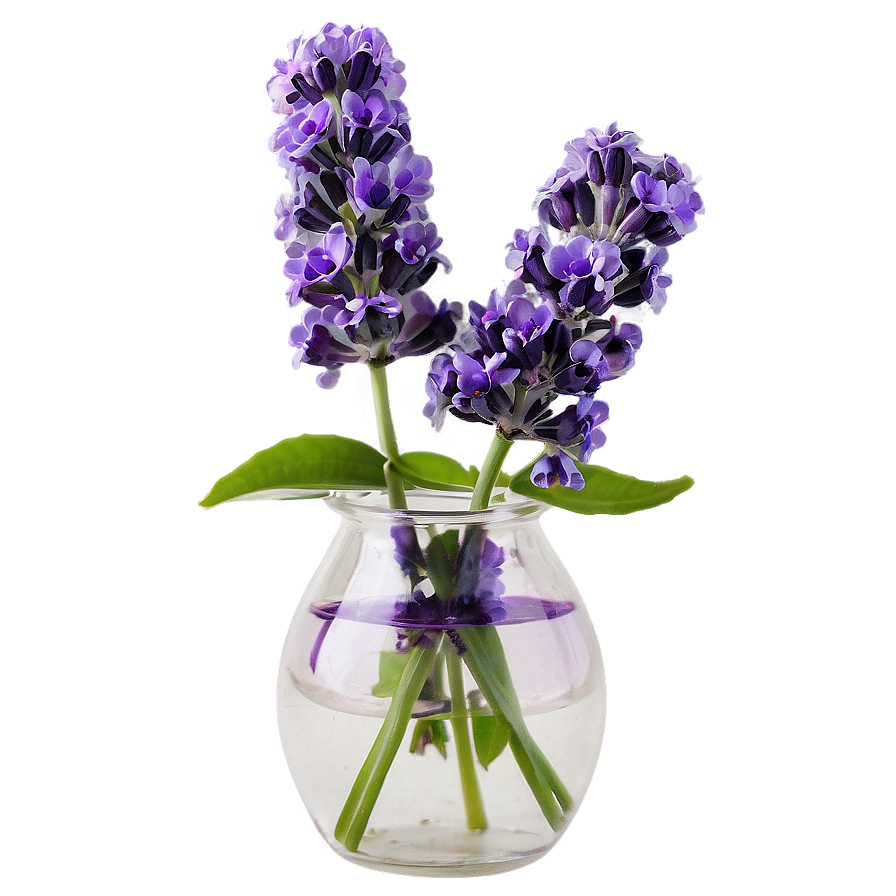 Lavender In Vase Png 7