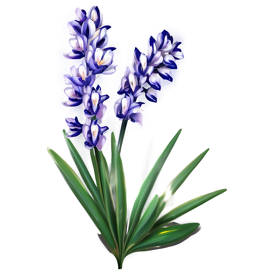 Lavender Lily Png 05242024