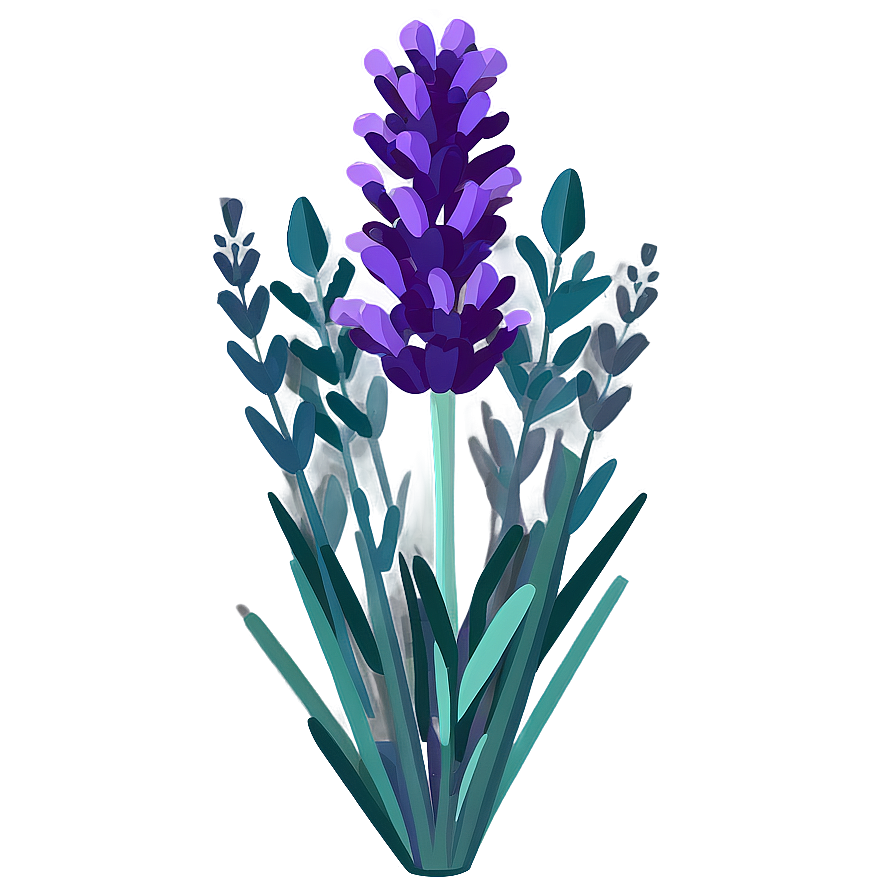 Lavender Plant Flat Design Png 06282024