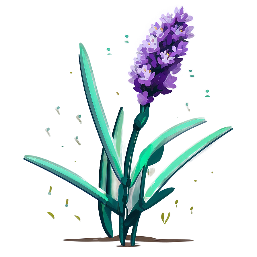 Lavender Plant Flat Design Png 84