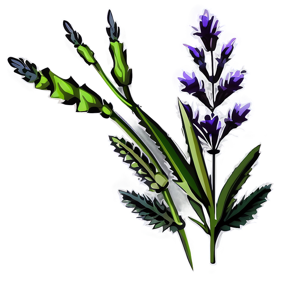 Lavender Plant Silhouette Png Otw