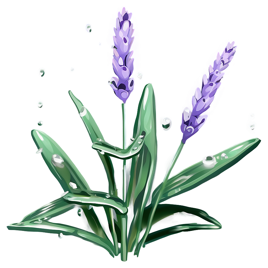 Lavender Plant With Dewdrops Png Red