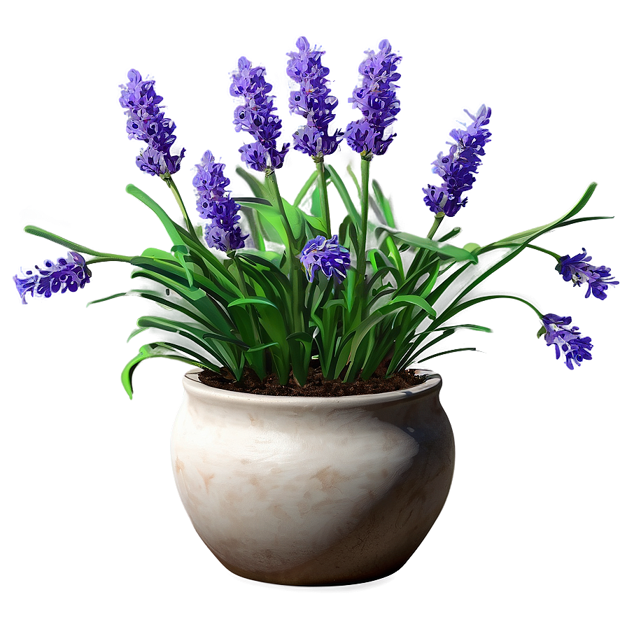 Lavender Pot Plant Png 16