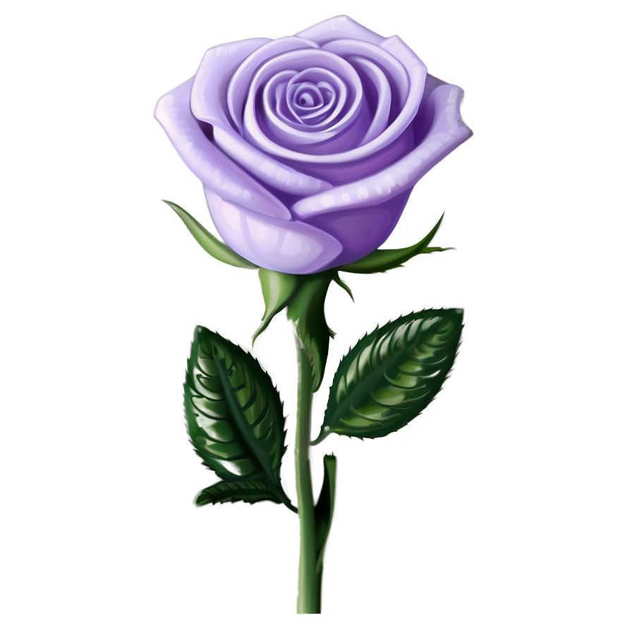 Lavender Rose Png Ygn