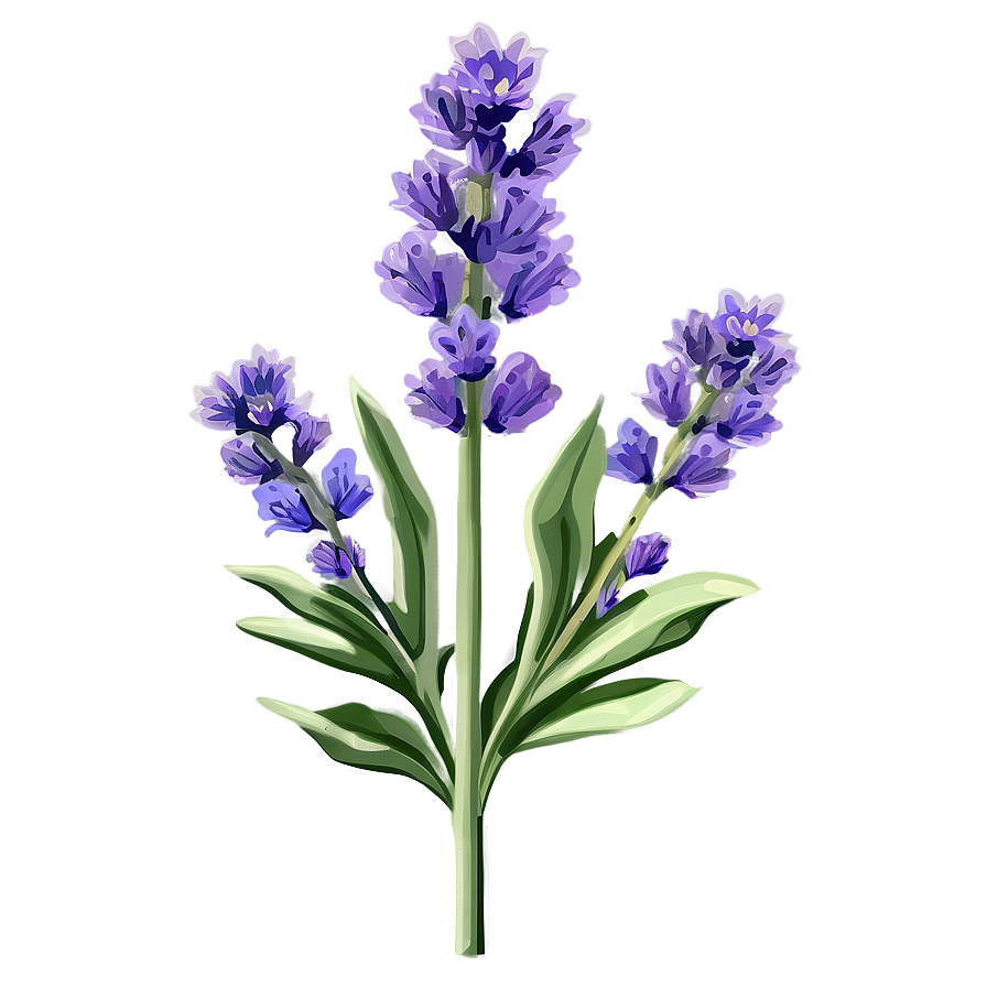 Lavender Sprig Png Lck