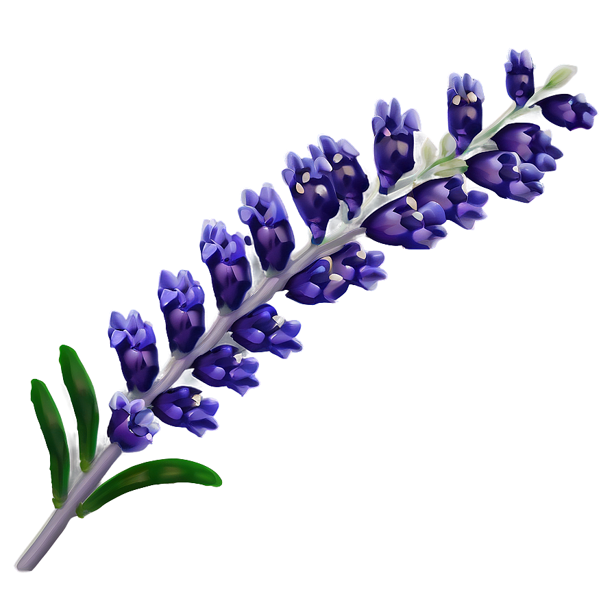 Lavender Sprig Png Mcp