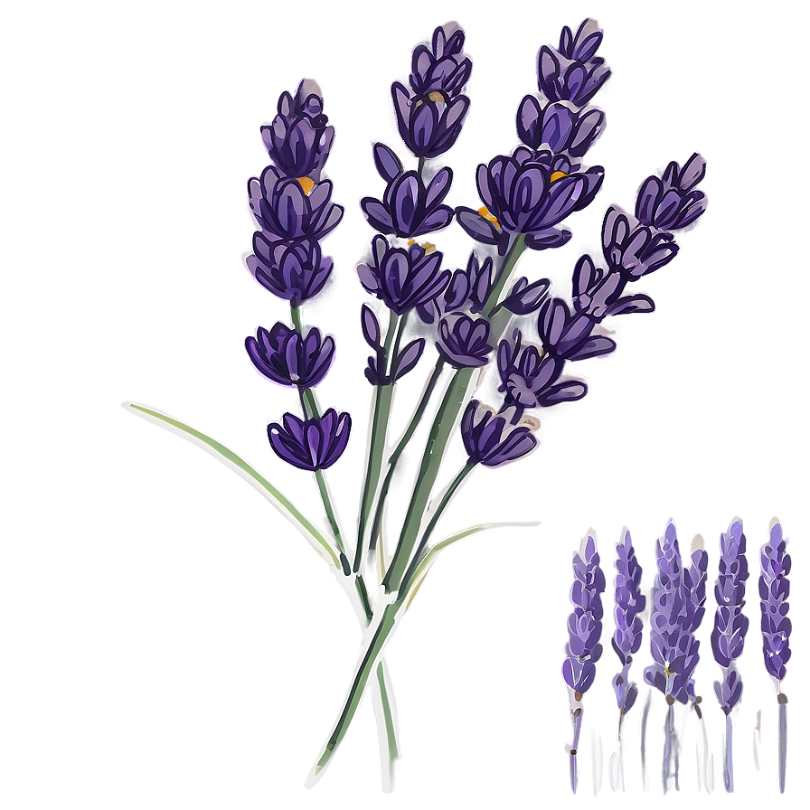 Lavender Vintage Illustration Png Kse50