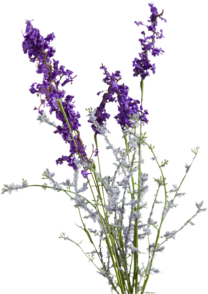 Lavenderand Frosty White Flowers