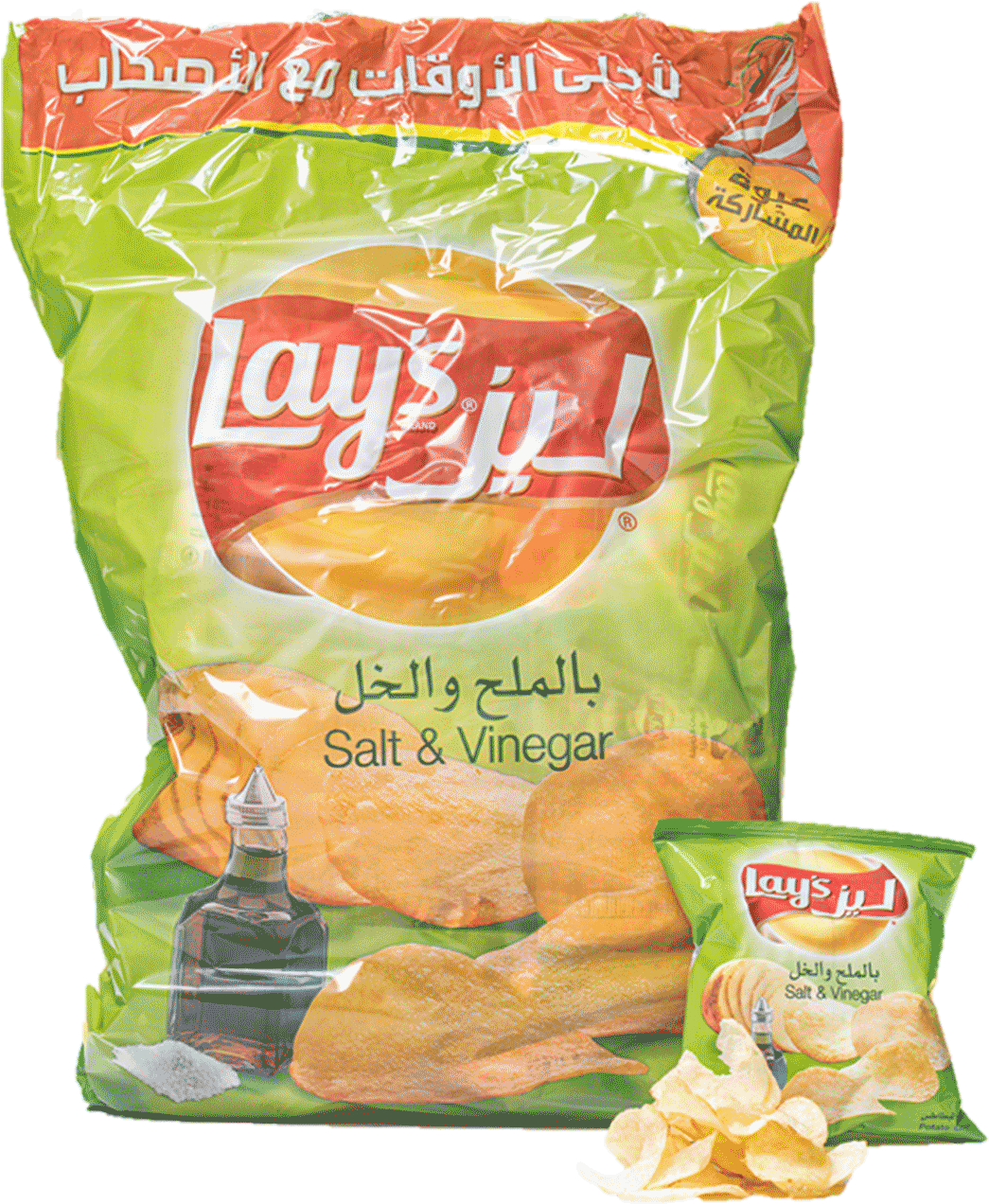 Lays Saltand Vinegar Chips Package