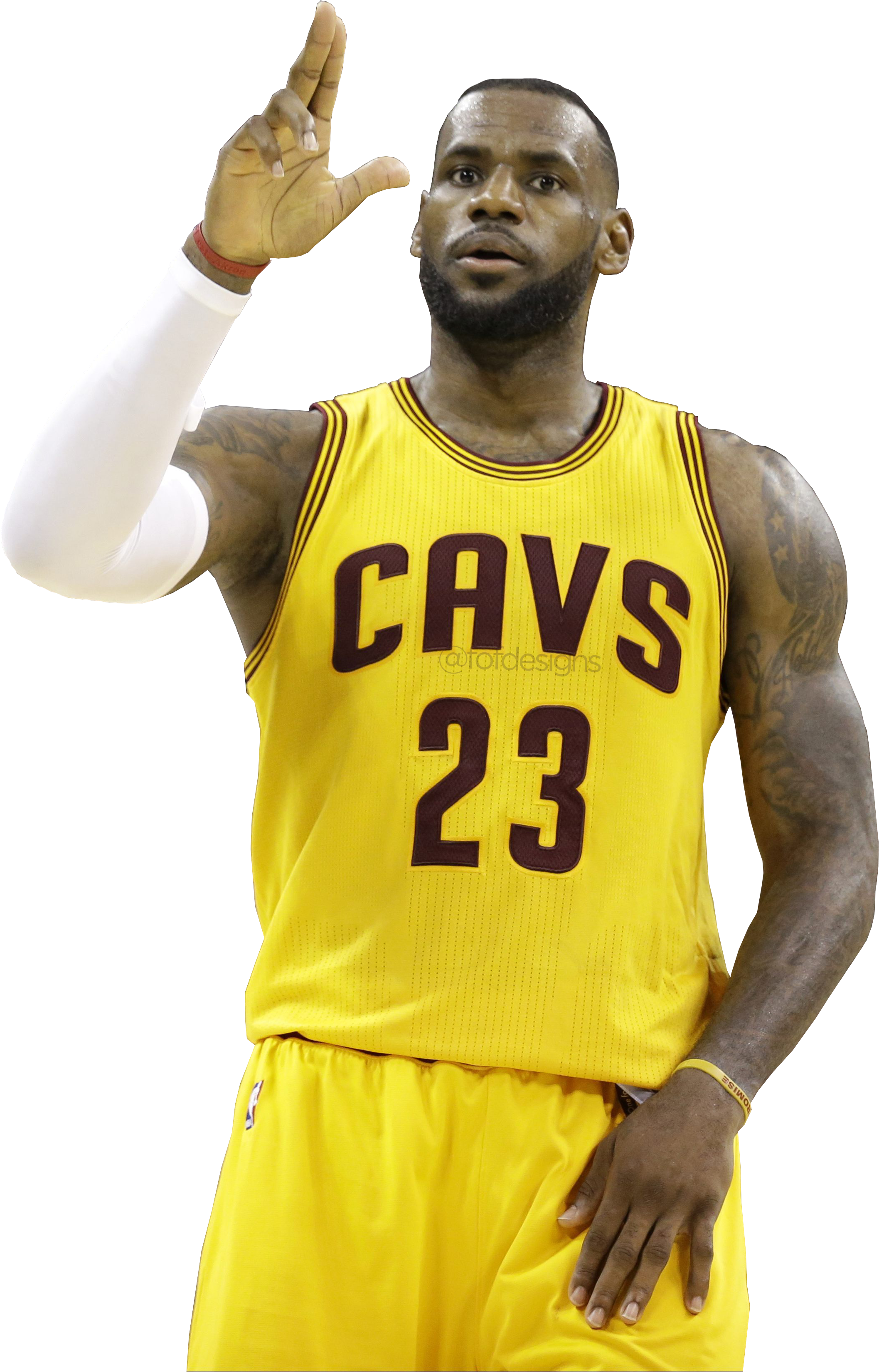 Le Bron Cavaliers23 Gesture.png