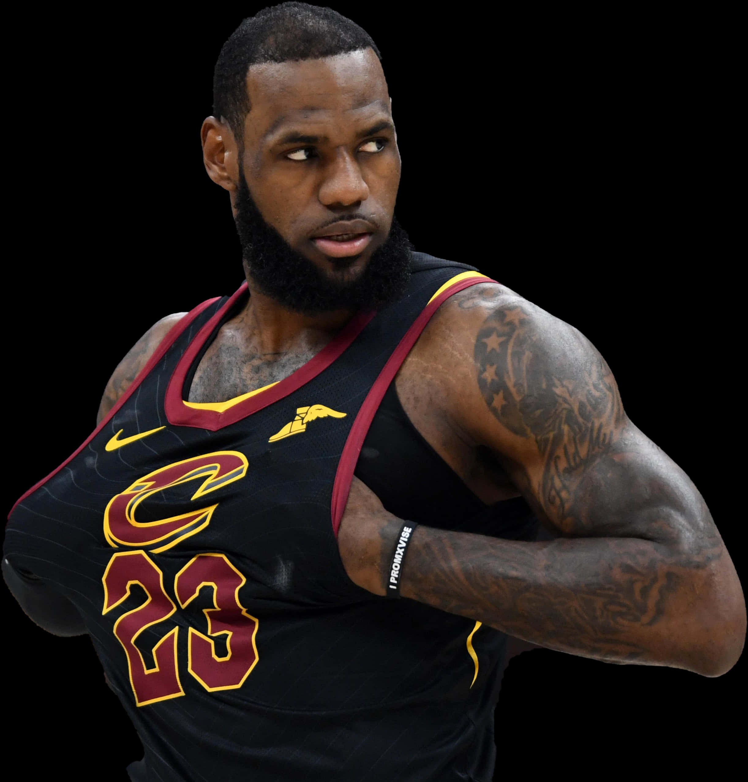 Le Bron James Cleveland Cavaliers Portrait