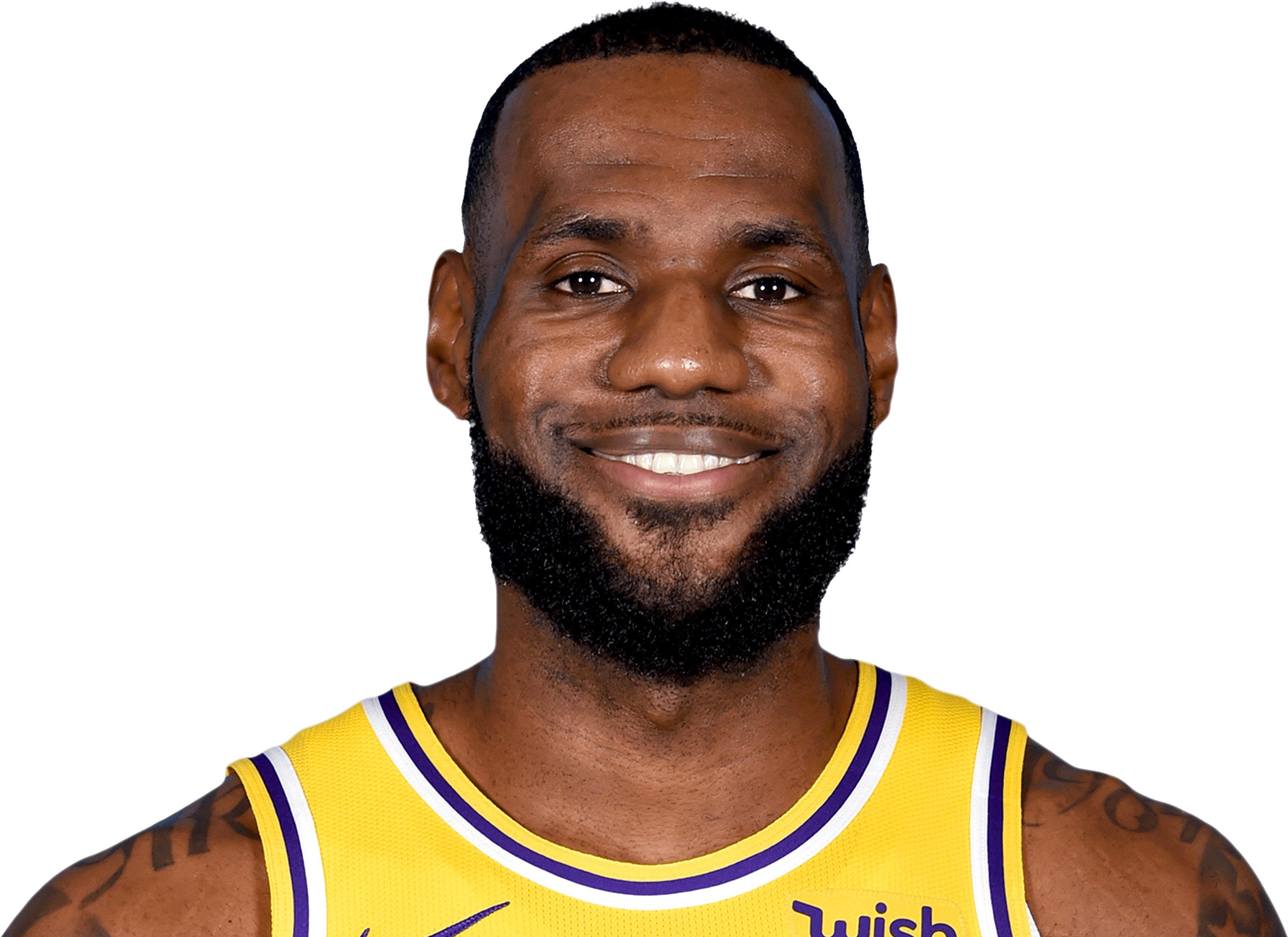 Le Bron James Lakers Portrait